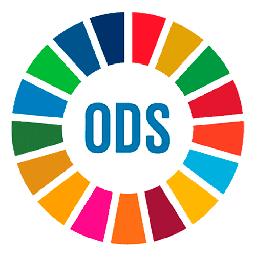 SDG Commitment